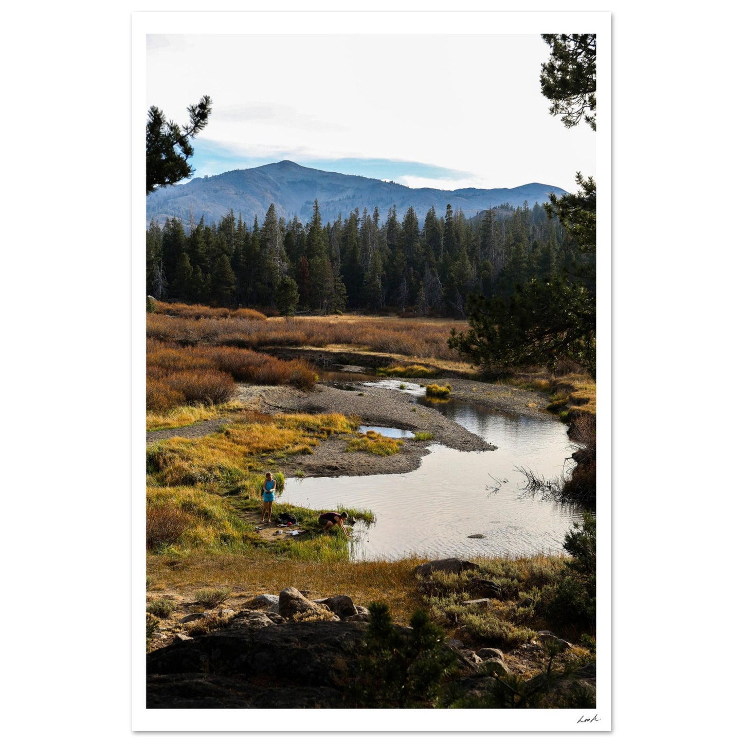 Toiyabe National Forest 3 - Premium Semi-Glossy Paper Poster