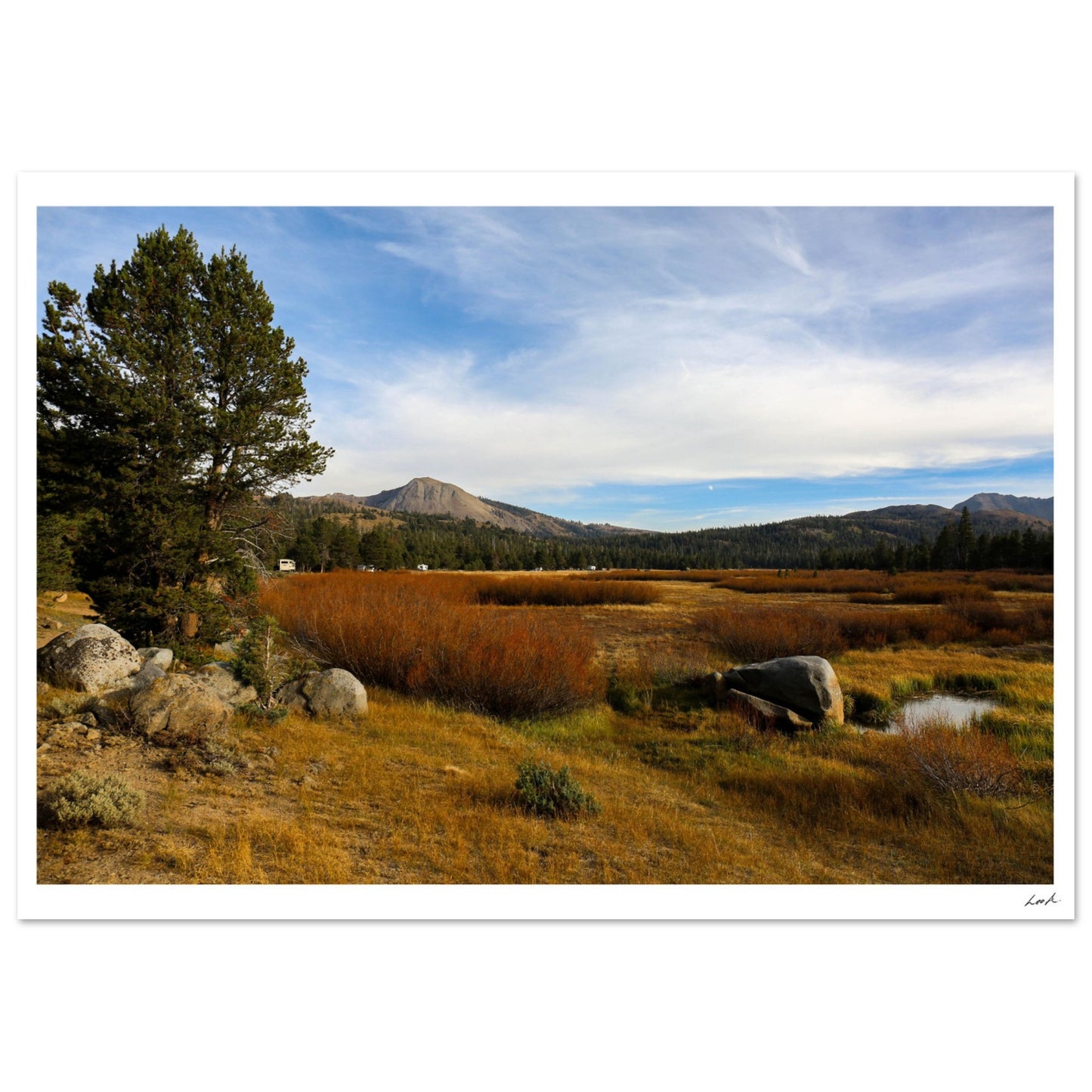 Toiyabe National Forest 2 - Classic Matte Paper Poster