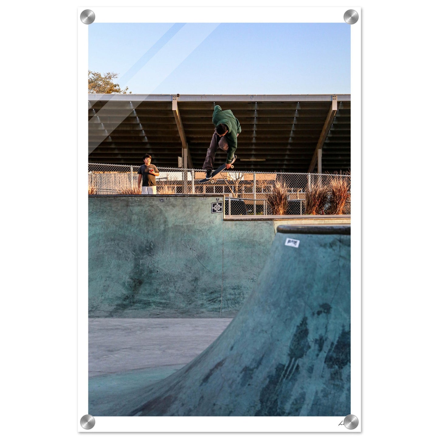 Indy Grab - Acrylic Print