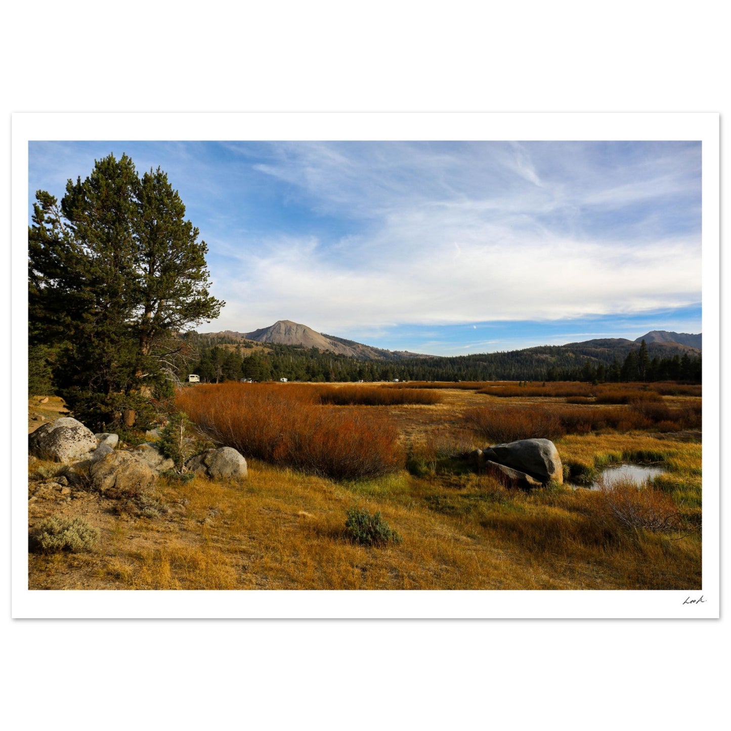 Toiyabe National Forest 2 - Aluminum Print