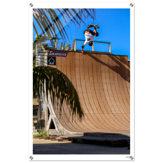 Eggplatnt - Acrylic Print
