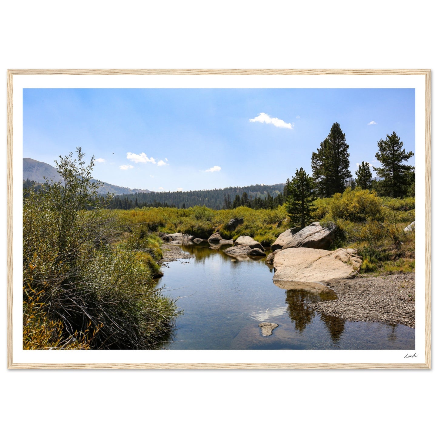 Toiyabe National Forest - Premium Matte Paper Wooden Framed Poster