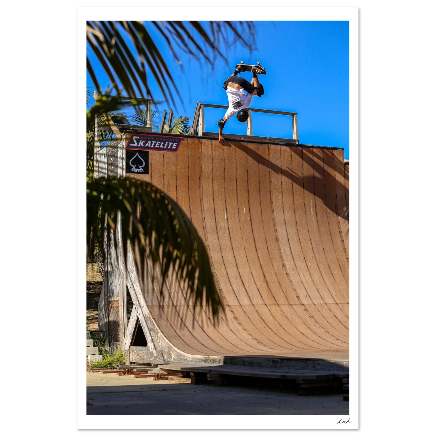 Eggplatnt - Premium Semi-Glossy Paper Poster