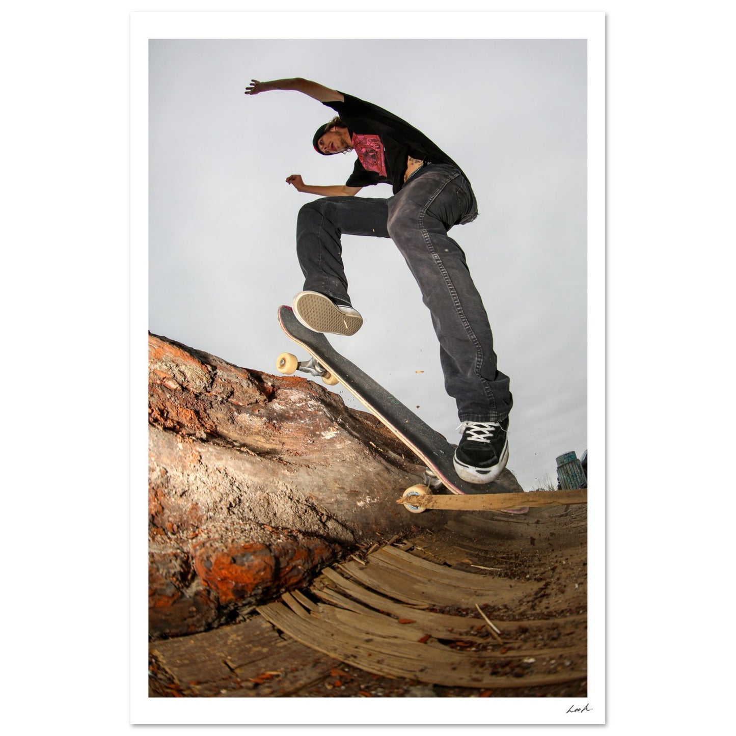 Wallie Log - Aluminum Print