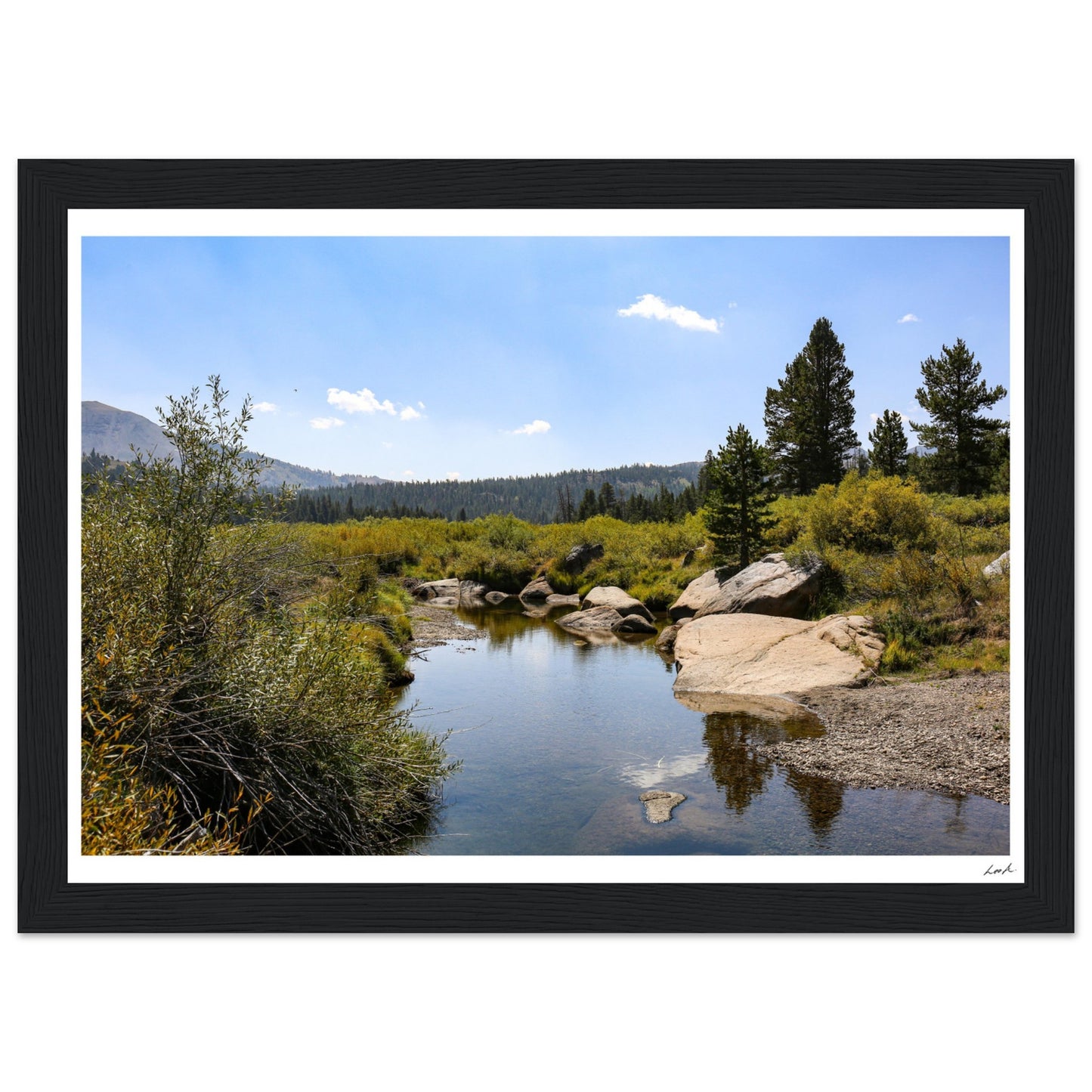 Toiyabe National Forest - Premium Matte Paper Wooden Framed Poster