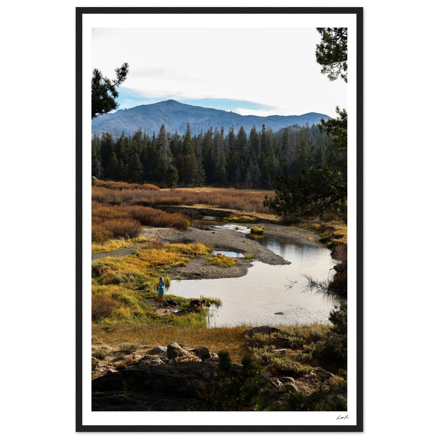 Toiyabe National Forest 3 - Premium Matte Paper Wooden Framed Poster