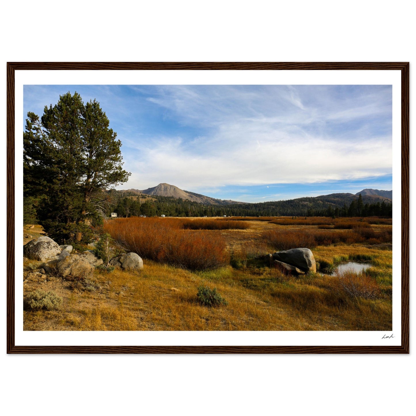 Toiyabe National Forest 2 - Premium Matte Paper Wooden Framed Poster