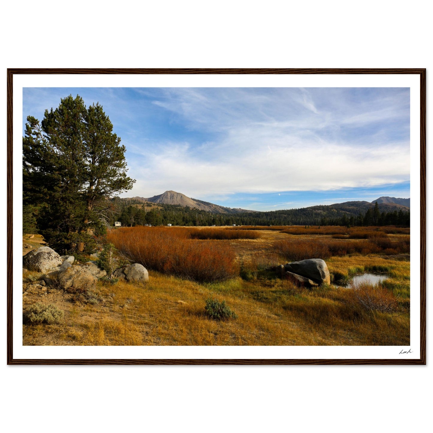 Toiyabe National Forest 2 - Premium Matte Paper Wooden Framed Poster