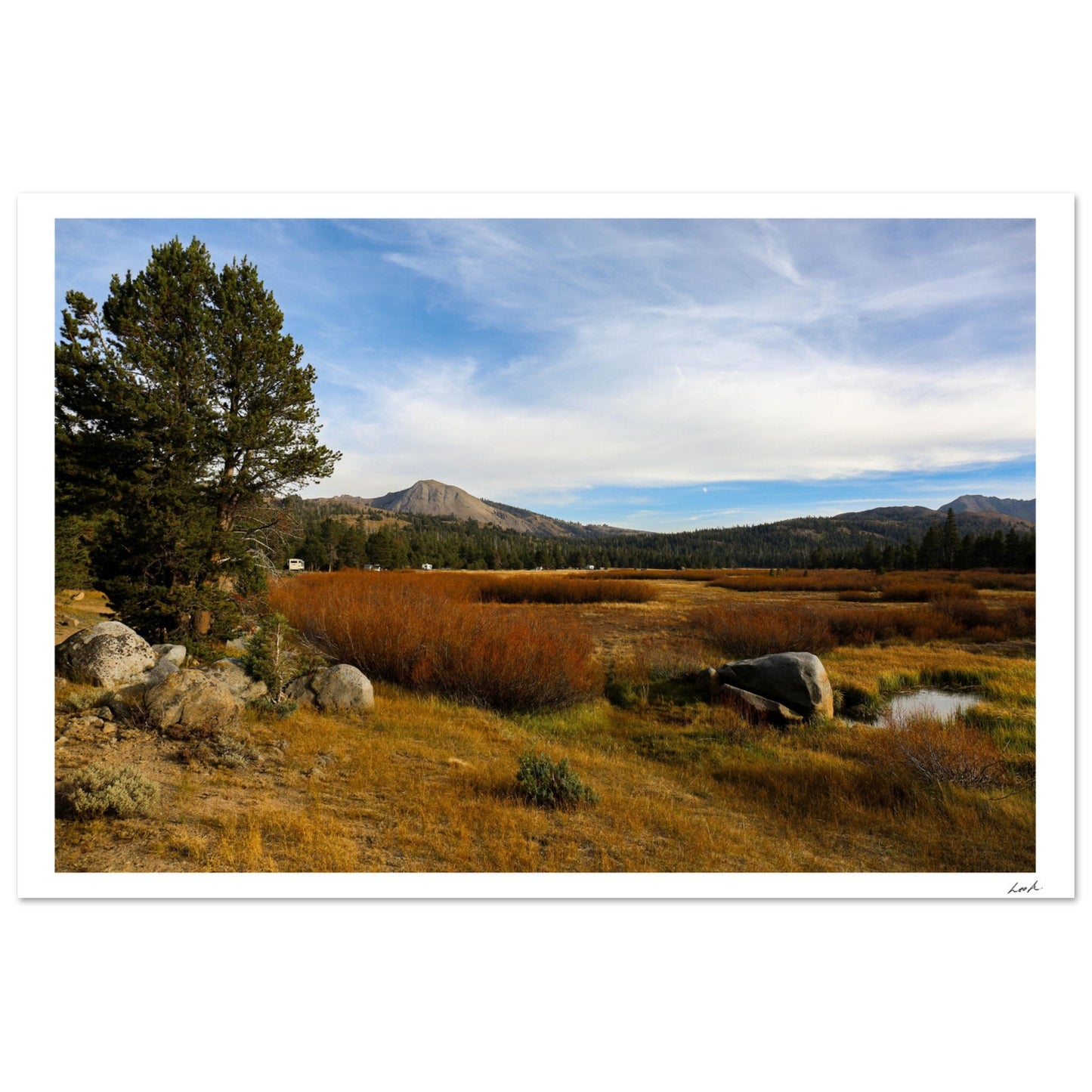 Toiyabe National Forest 2 - Aluminum Print