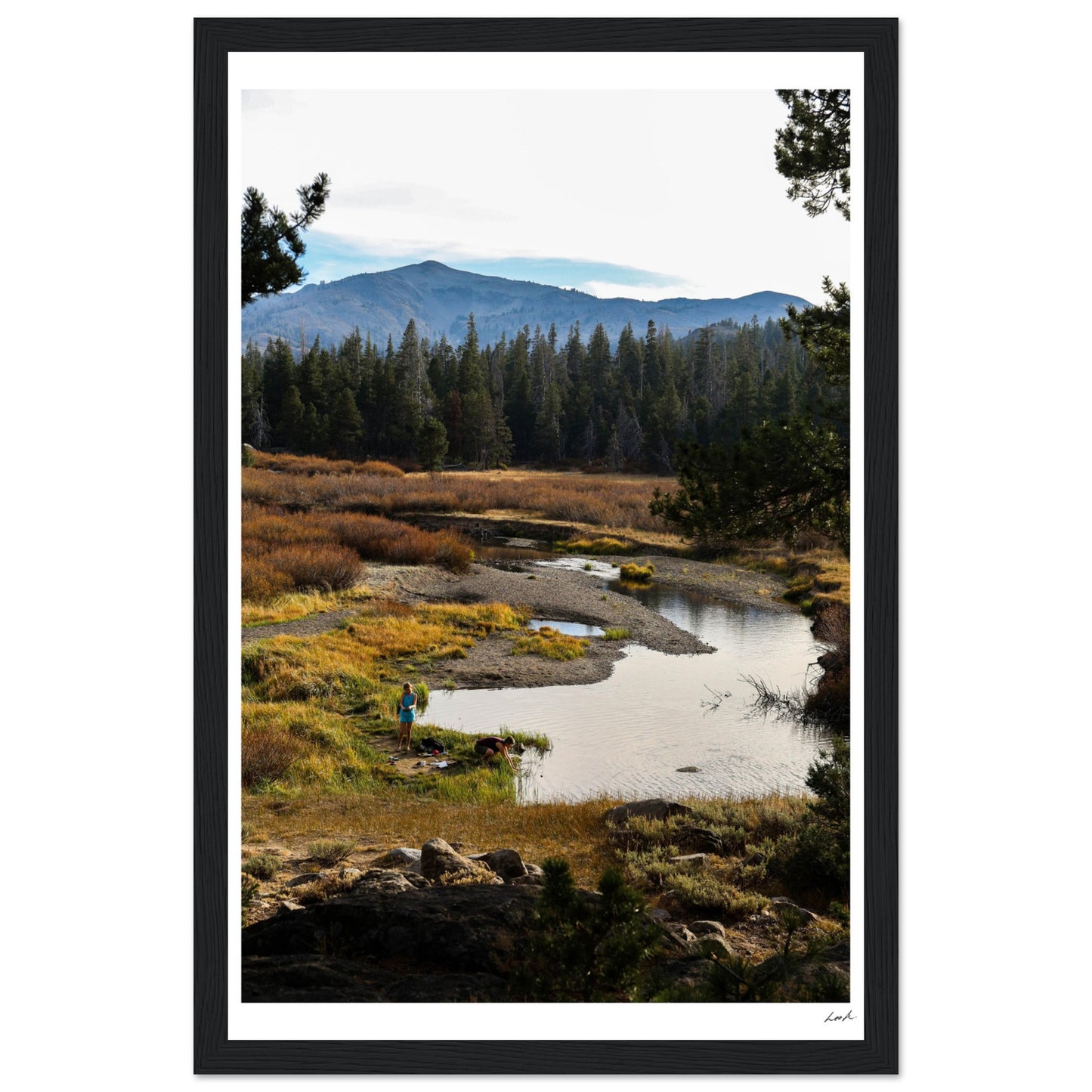 Toiyabe National Forest 3 - Premium Matte Paper Wooden Framed Poster