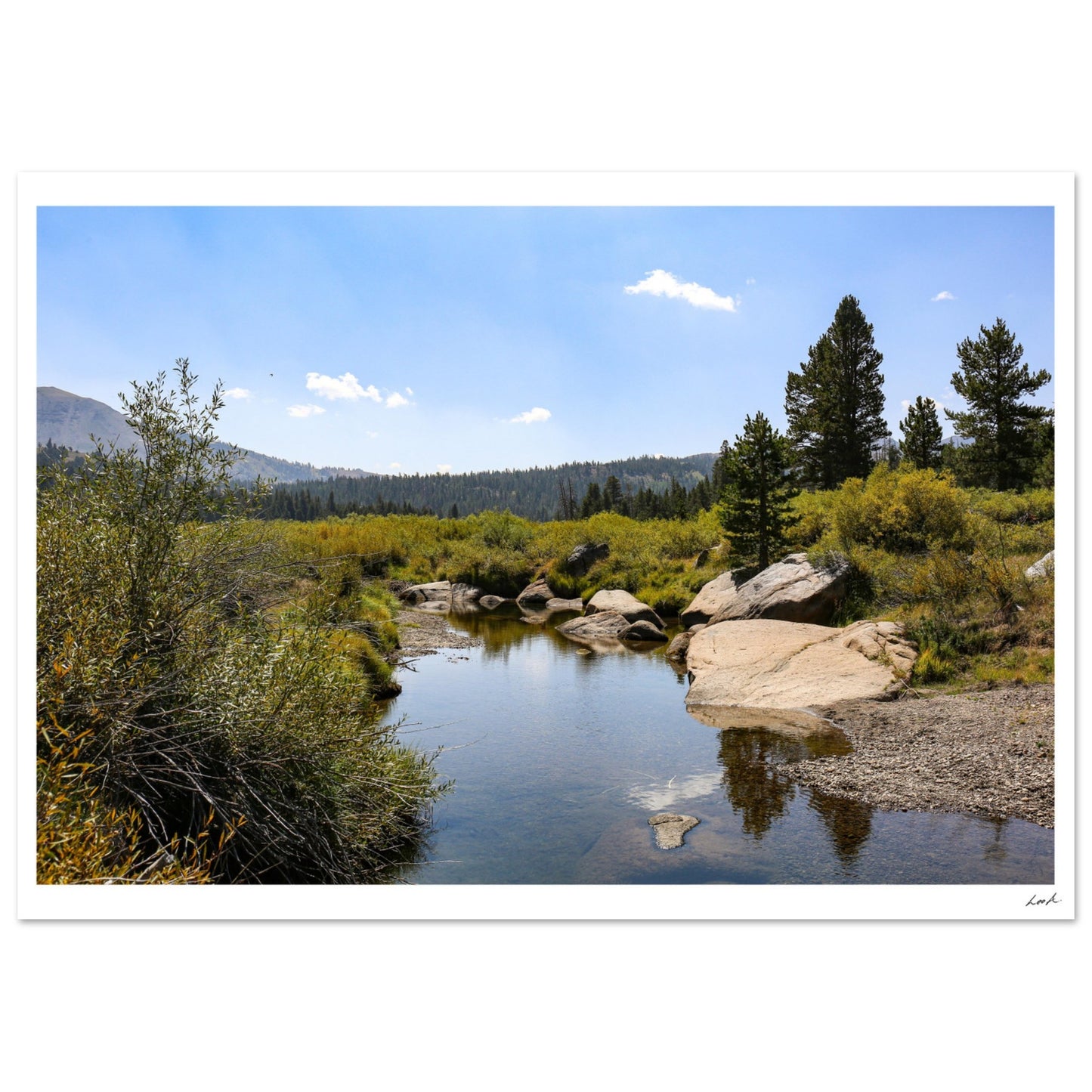 Toiyabe National Forest - Classic Matte Paper Poster