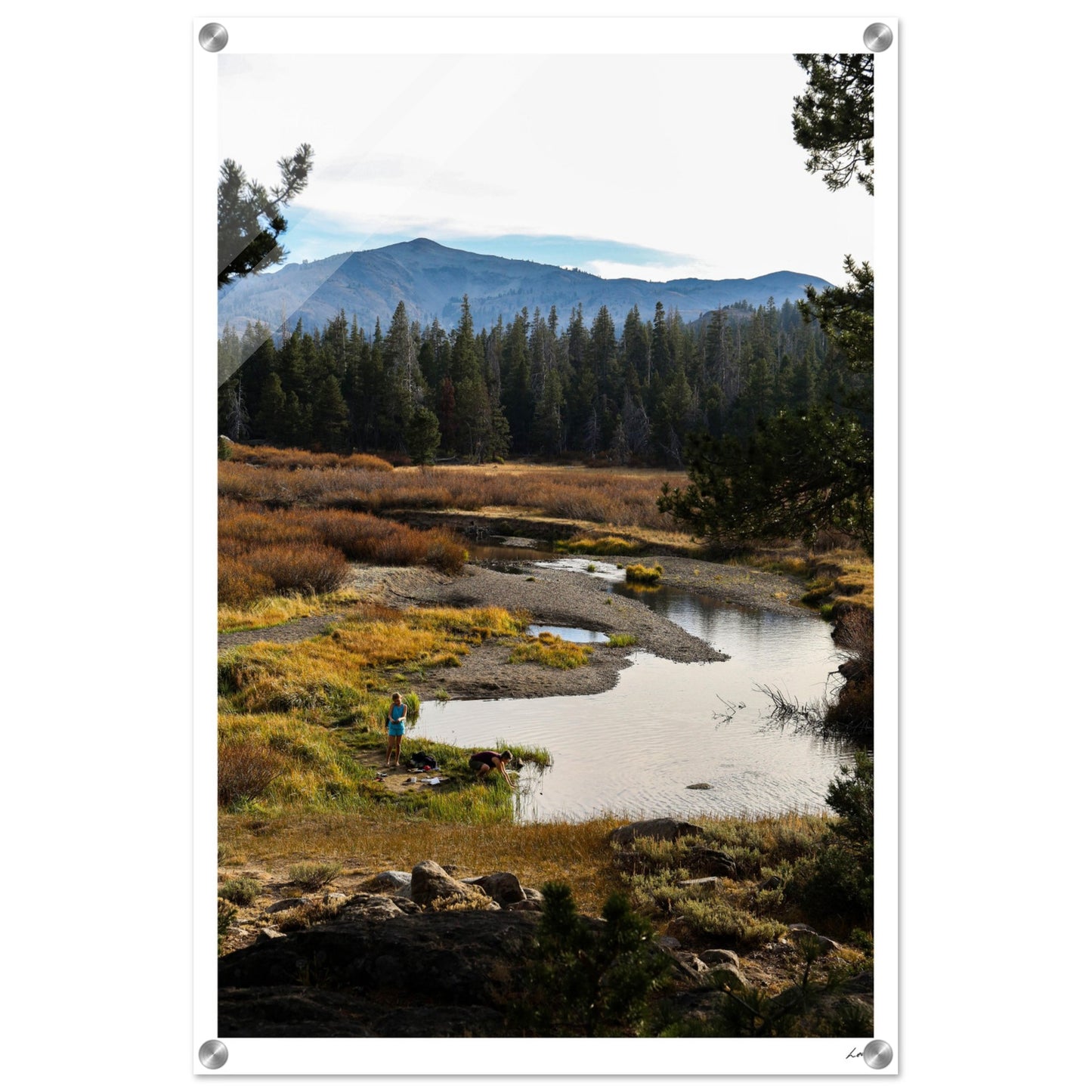 Toiyabe National Forest 3 - Acrylic Print