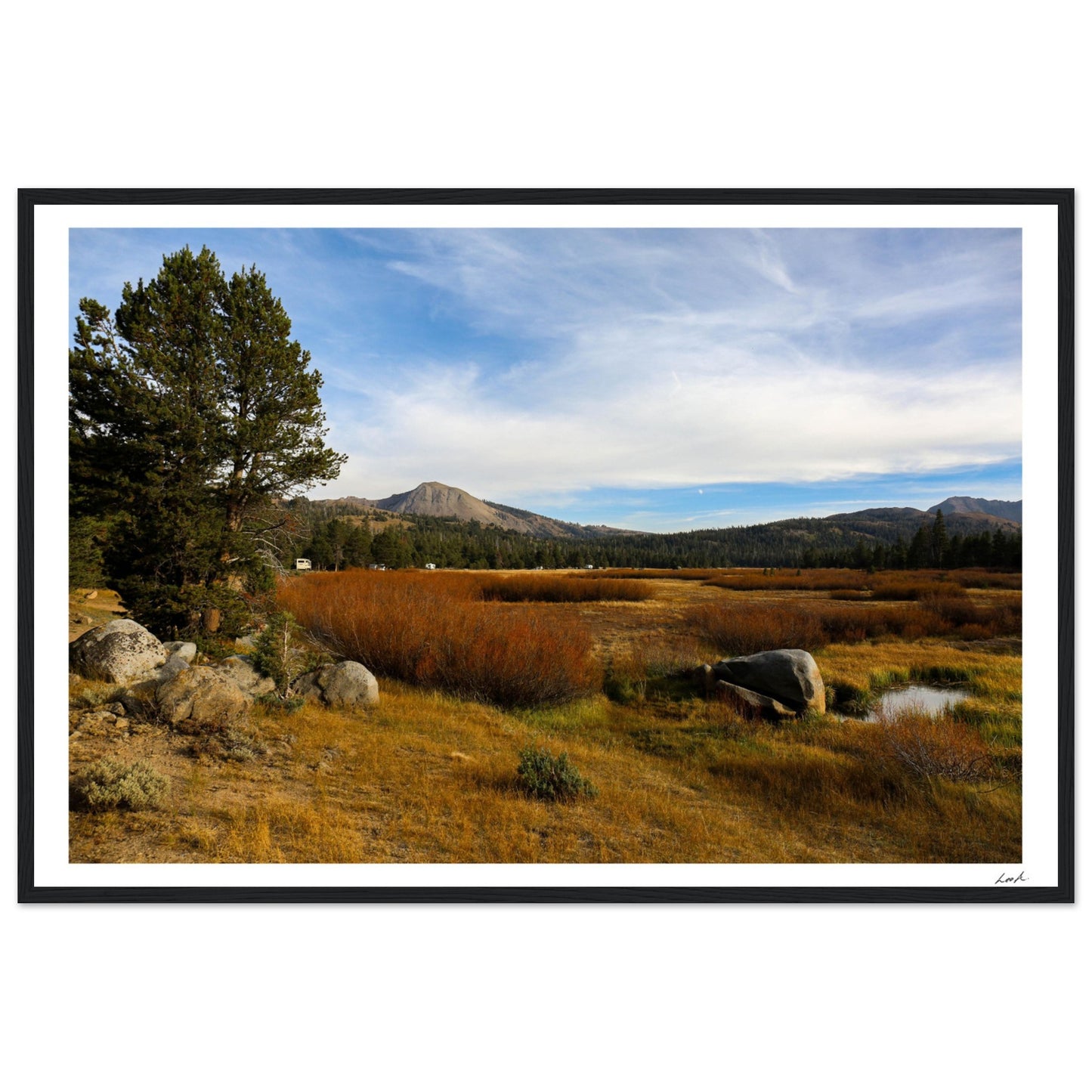 Toiyabe National Forest 2 - Premium Matte Paper Wooden Framed Poster