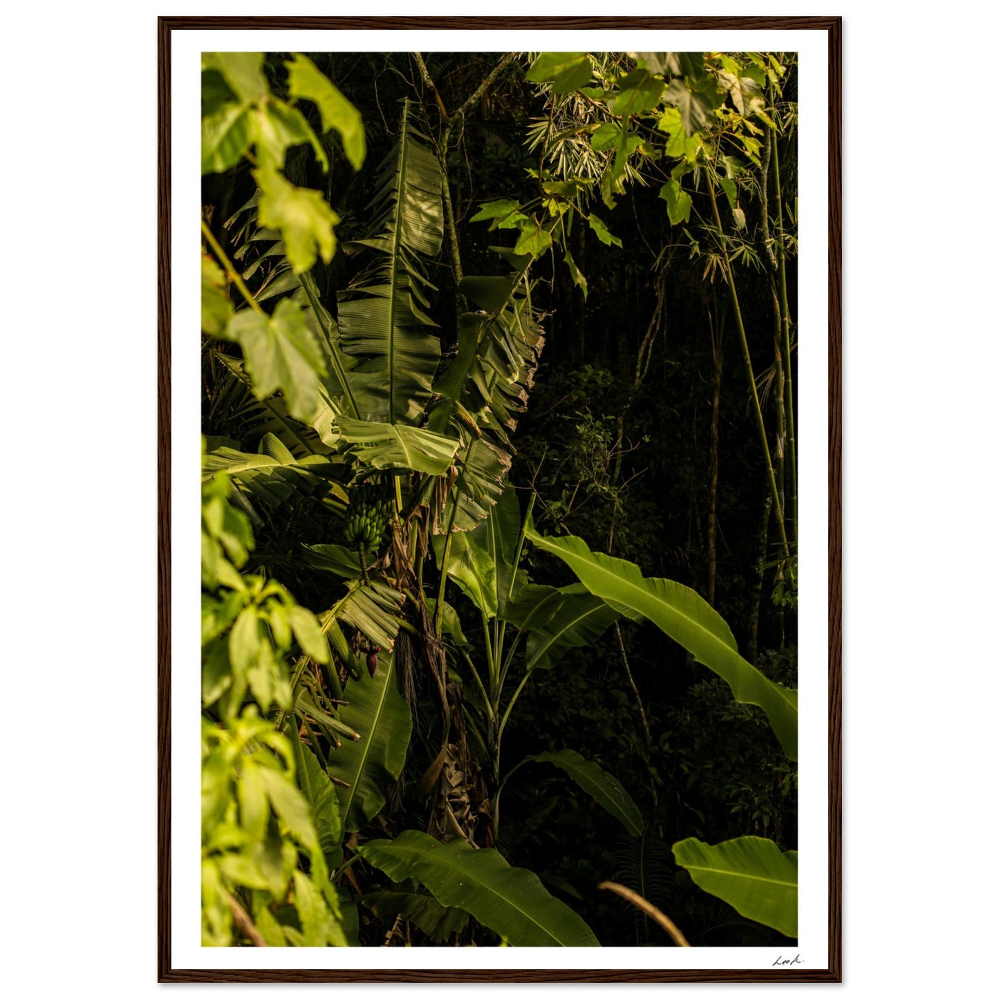 Rosa Norte Forest - Premium Matte Paper Wooden Framed Poster