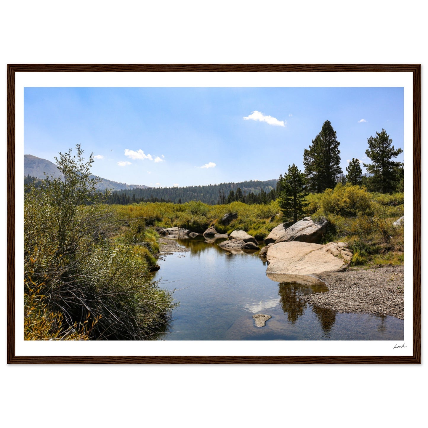 Toiyabe National Forest - Premium Matte Paper Wooden Framed Poster