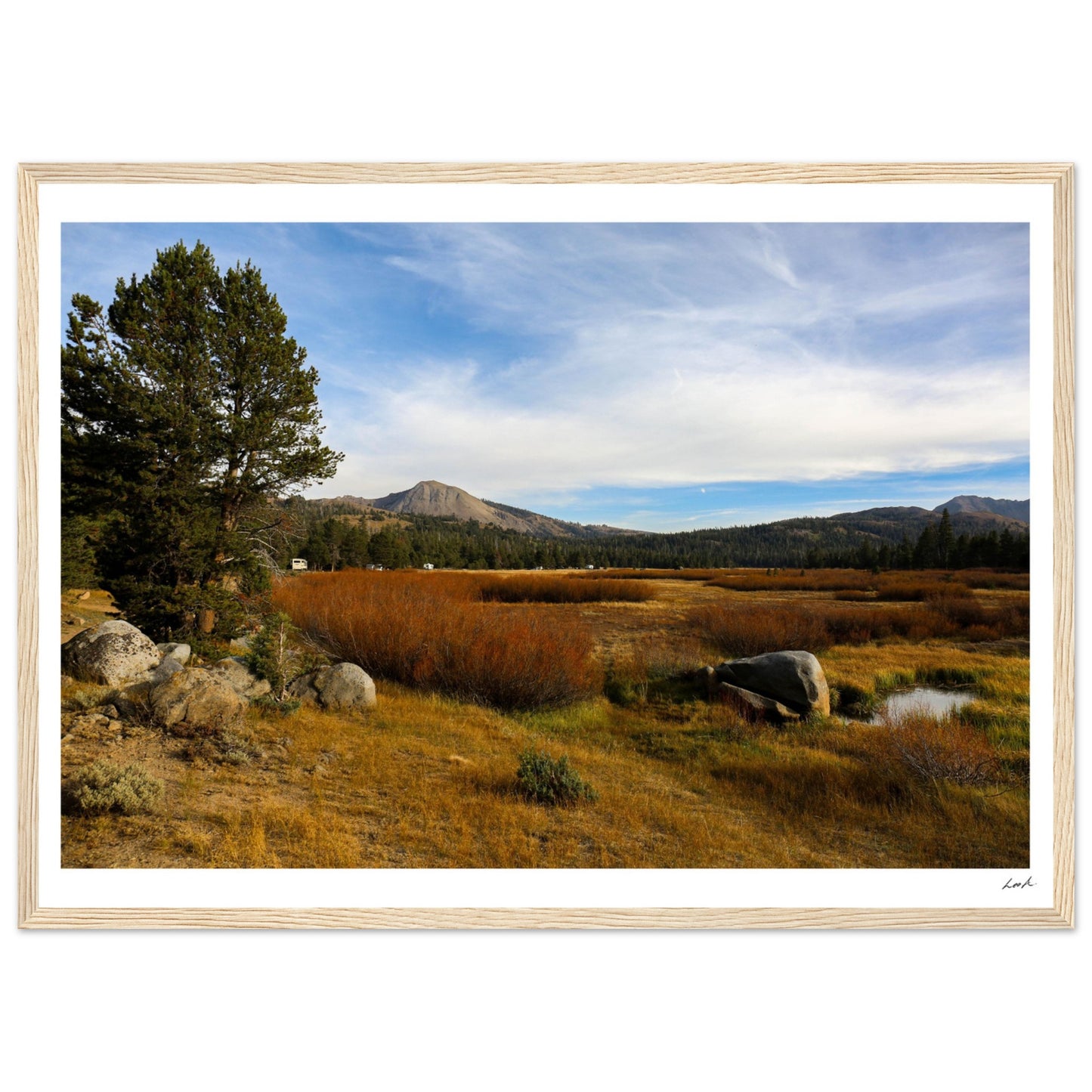 Toiyabe National Forest 2 - Premium Matte Paper Wooden Framed Poster