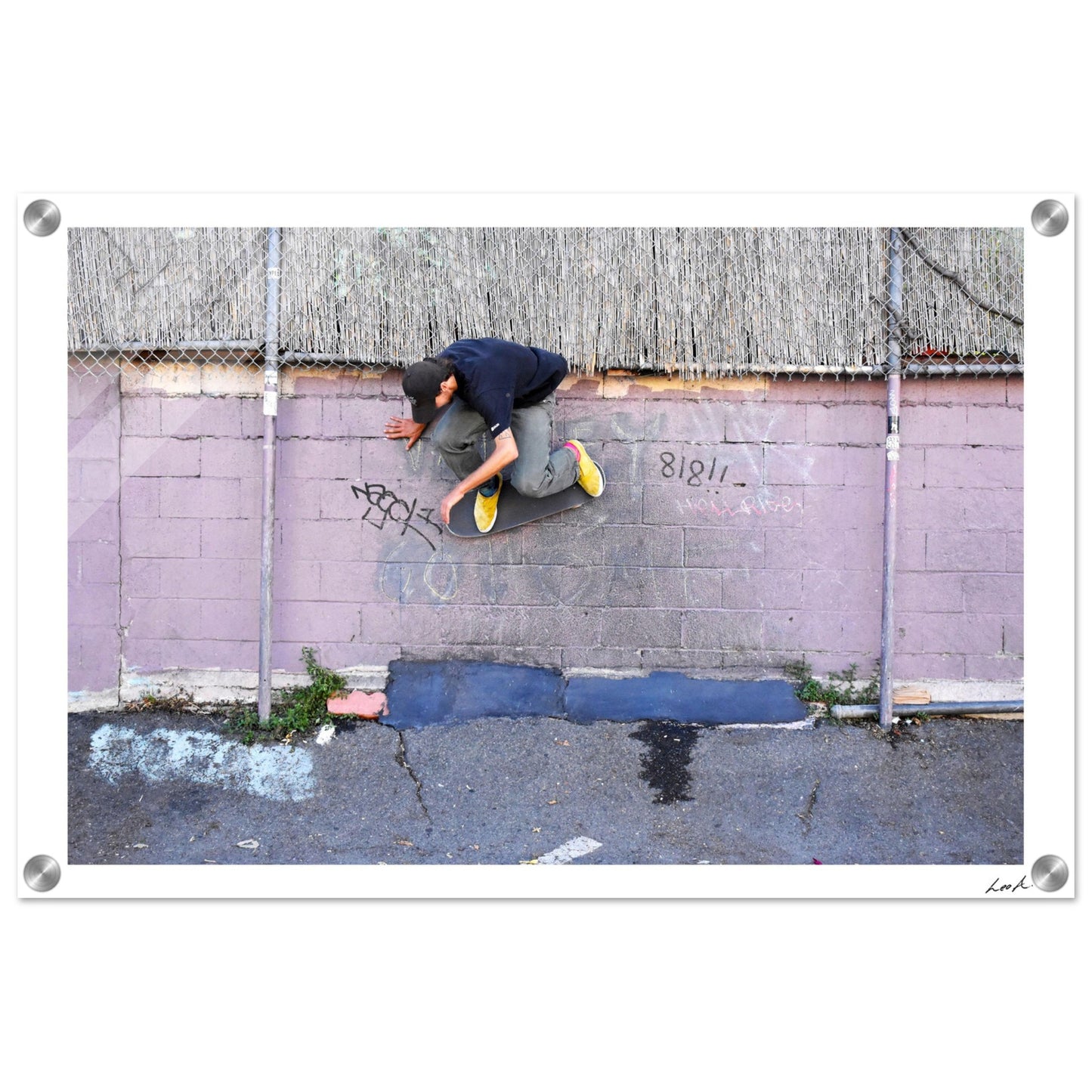 Lou Wallride - Acrylic Print