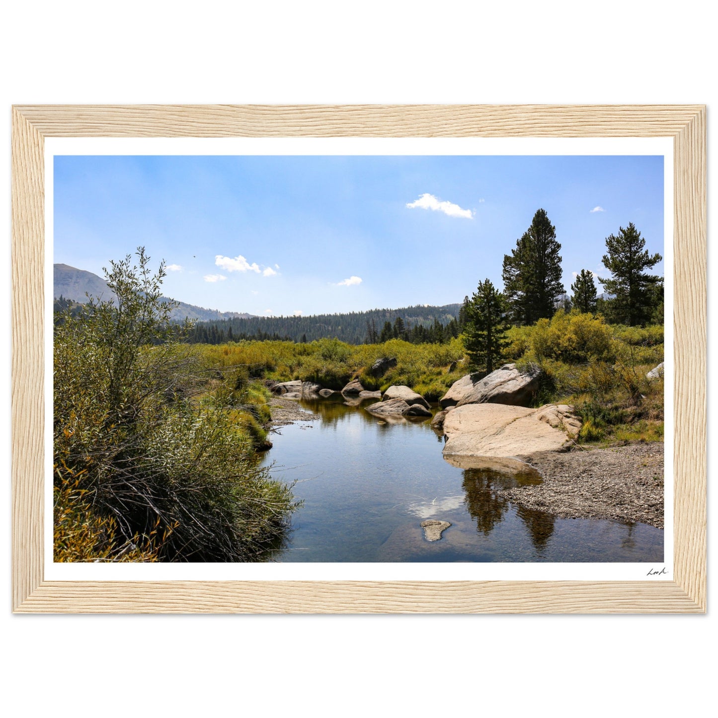 Toiyabe National Forest - Premium Matte Paper Wooden Framed Poster