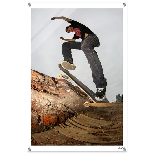 Wallie Log - Acrylic Print