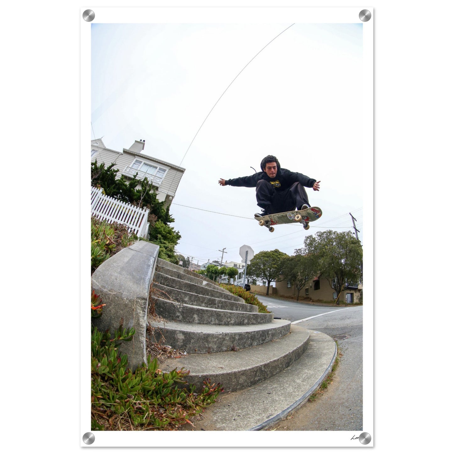 Ollie - Acrylic Print
