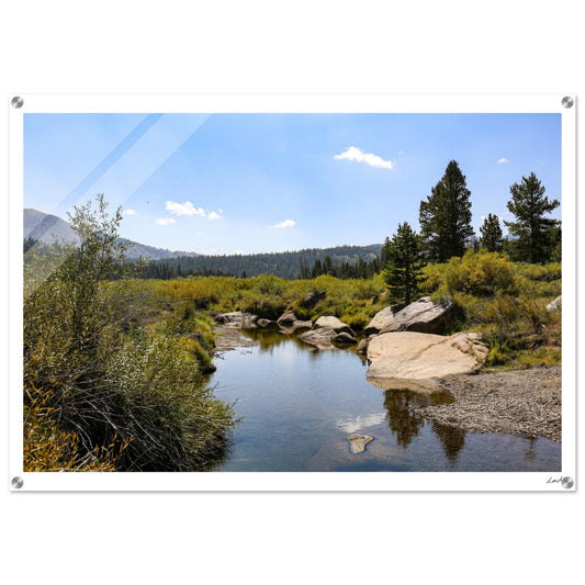 Toiyabe National Forest - Acrylic Print