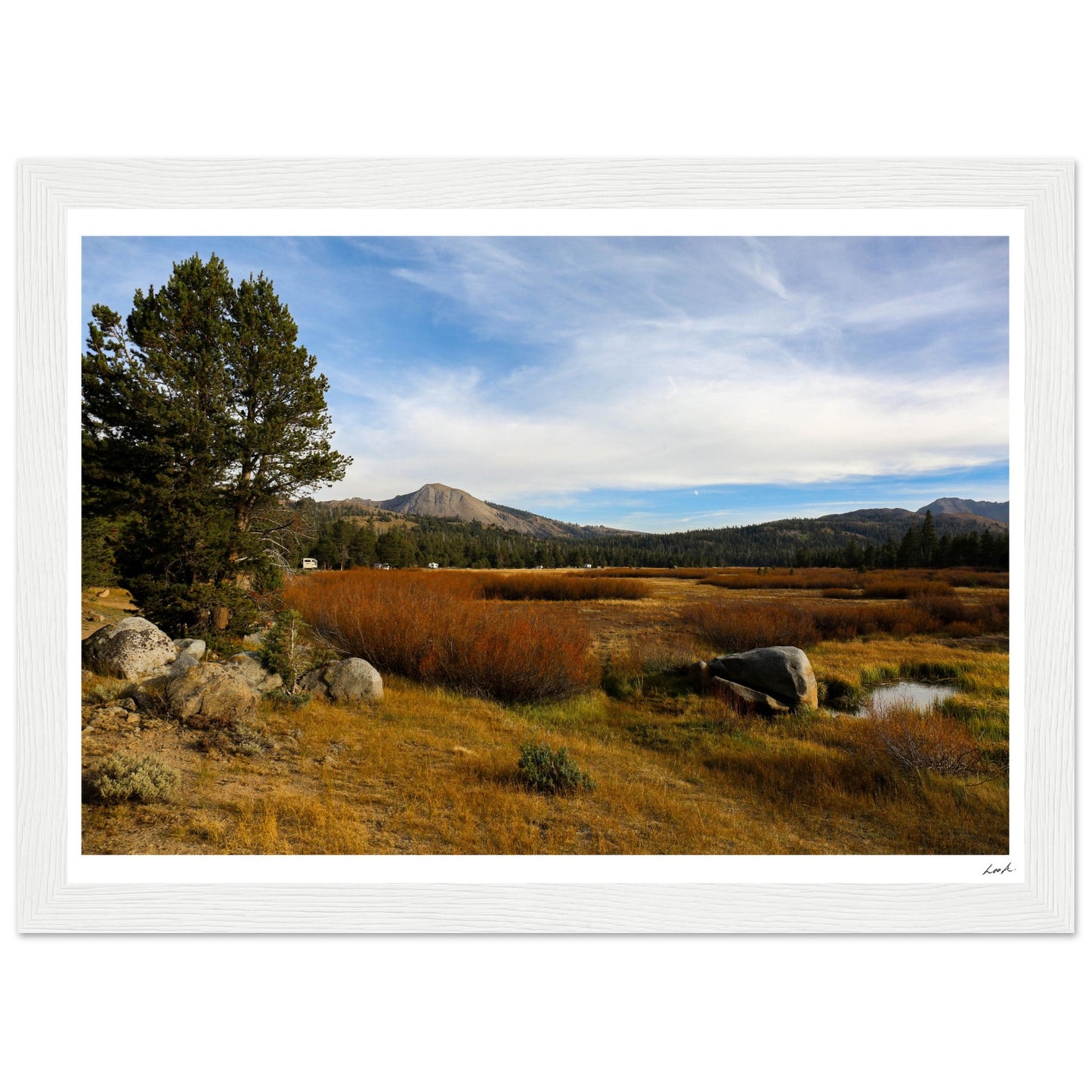 Toiyabe National Forest 2 - Premium Matte Paper Wooden Framed Poster