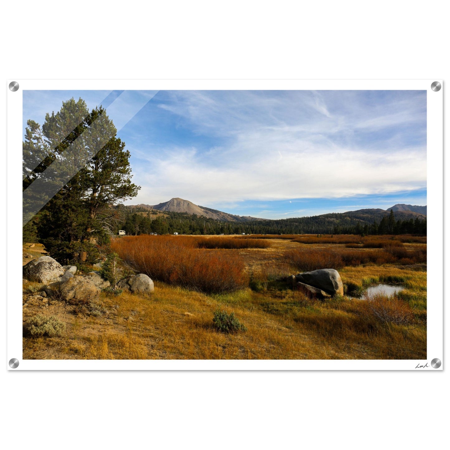 Toiyabe National Forest 2 - Acrylic Print