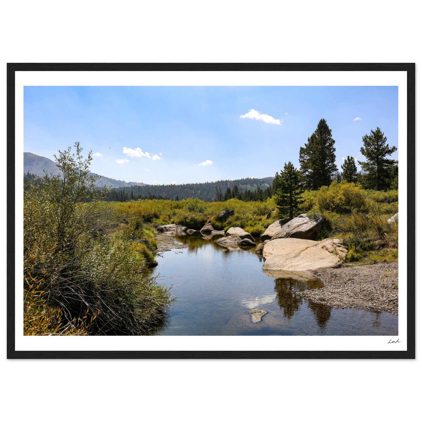 Toiyabe National Forest - Premium Matte Paper Wooden Framed Poster