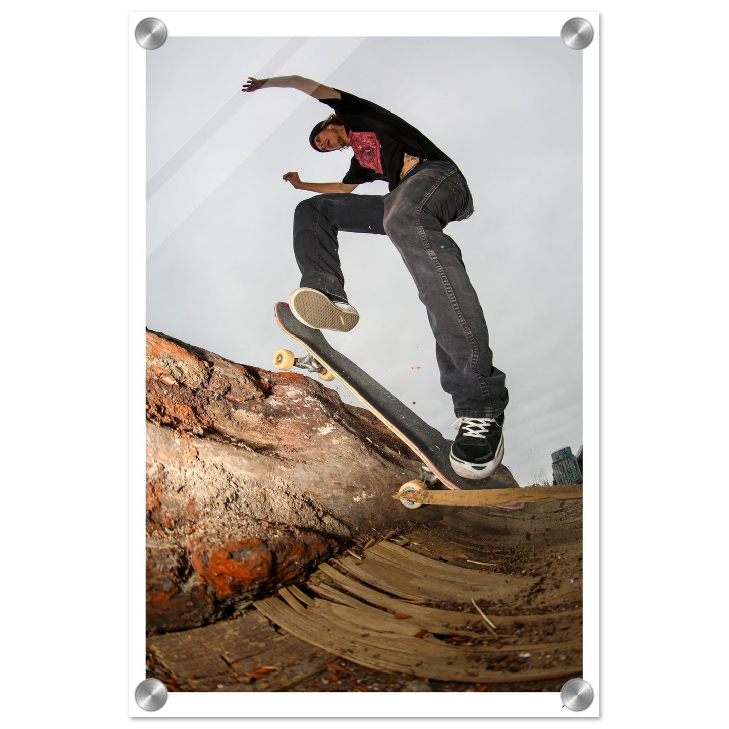 Wallie Log - Acrylic Print