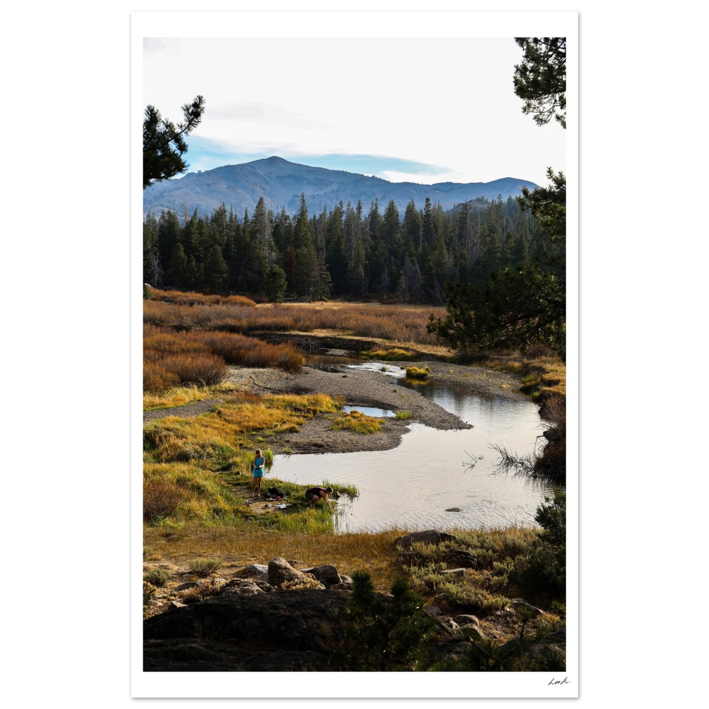 Toiyabe National Forest 3 - Classic Matte Paper Poster