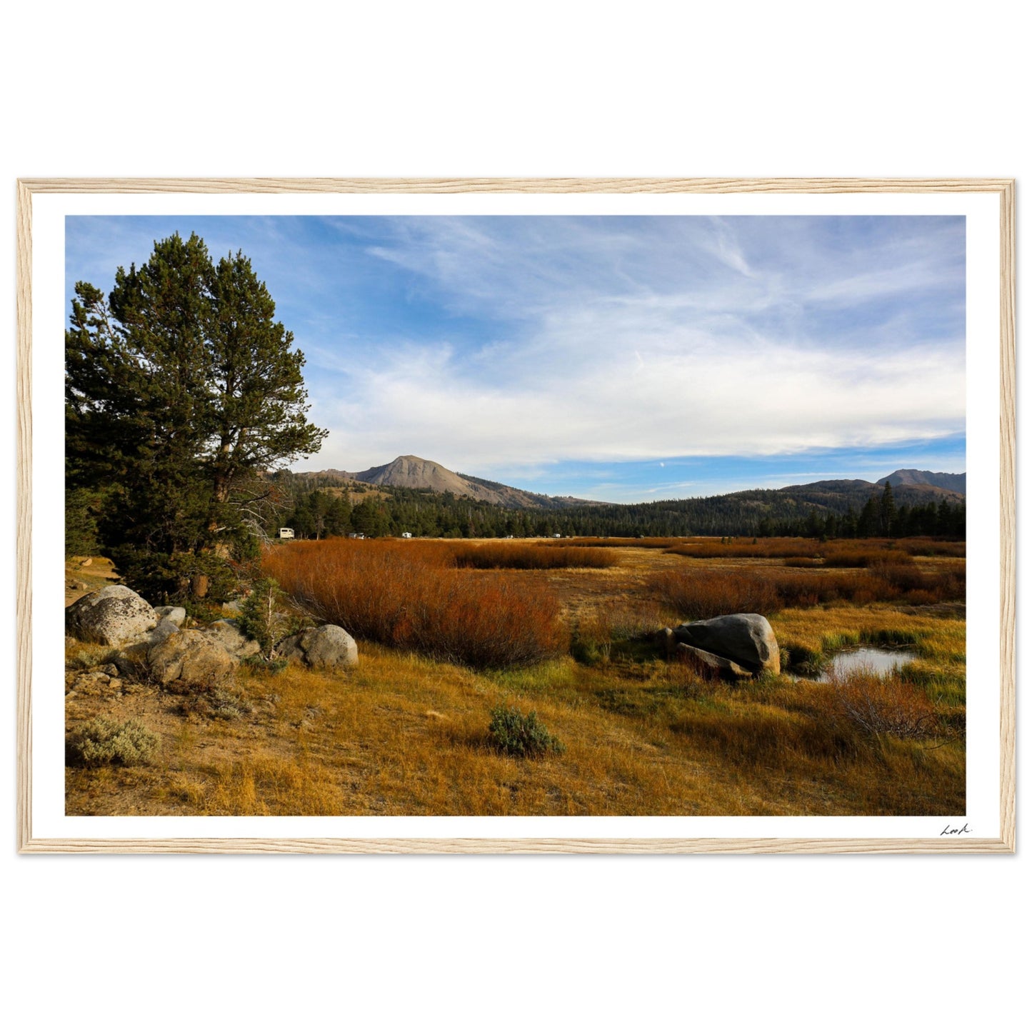 Toiyabe National Forest 2 - Premium Matte Paper Wooden Framed Poster