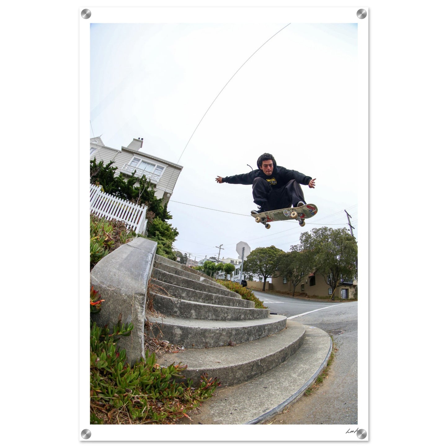 Ollie - Acrylic Print