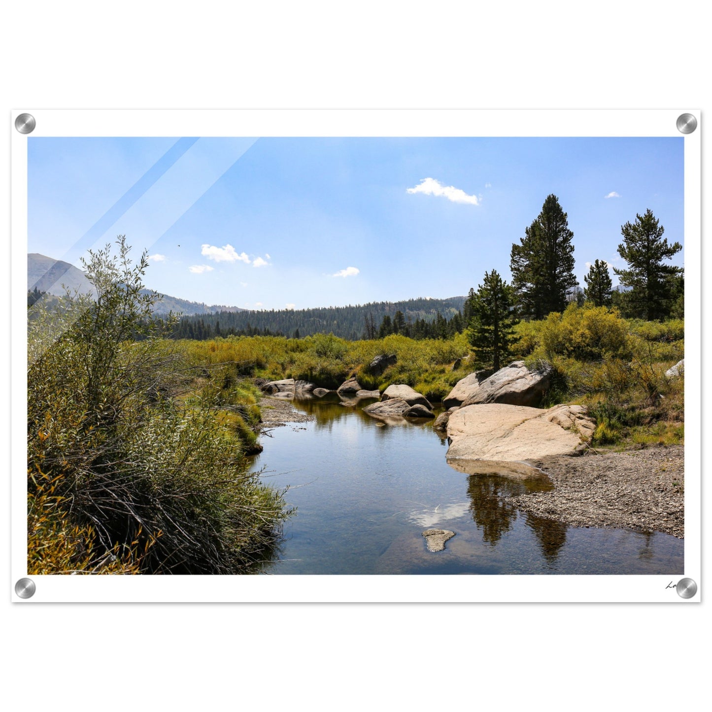Toiyabe National Forest - Acrylic Print
