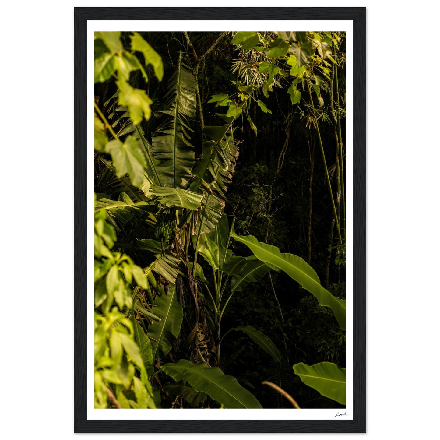 Rosa Norte Forest - Premium Matte Paper Wooden Framed Poster
