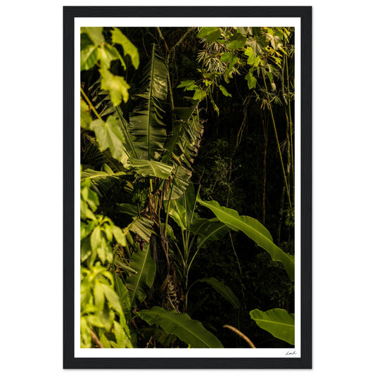 Rosa Norte Forest - Premium Matte Paper Wooden Framed Poster