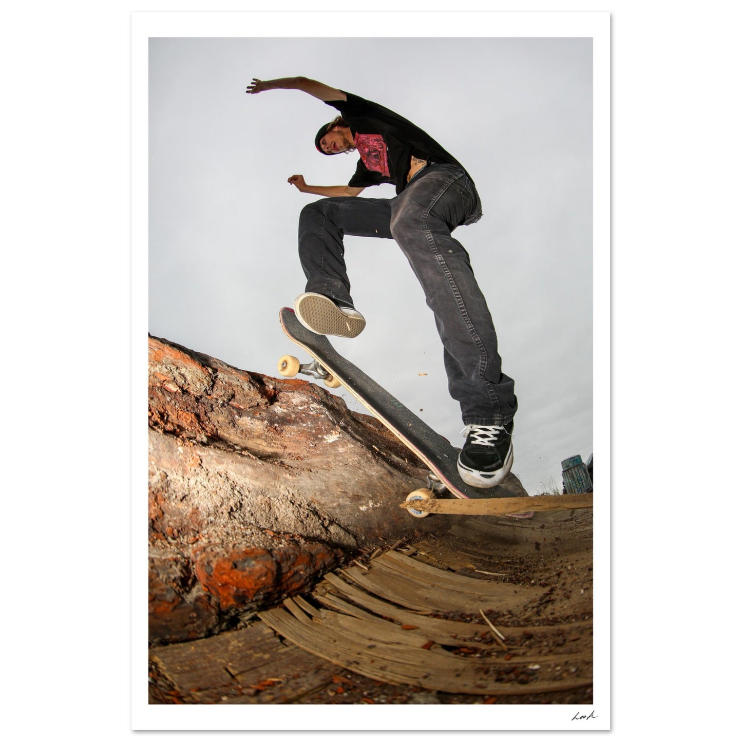 Wallie Log - Aluminum Print