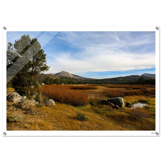 Toiyabe National Forest 2 - Acrylic Print