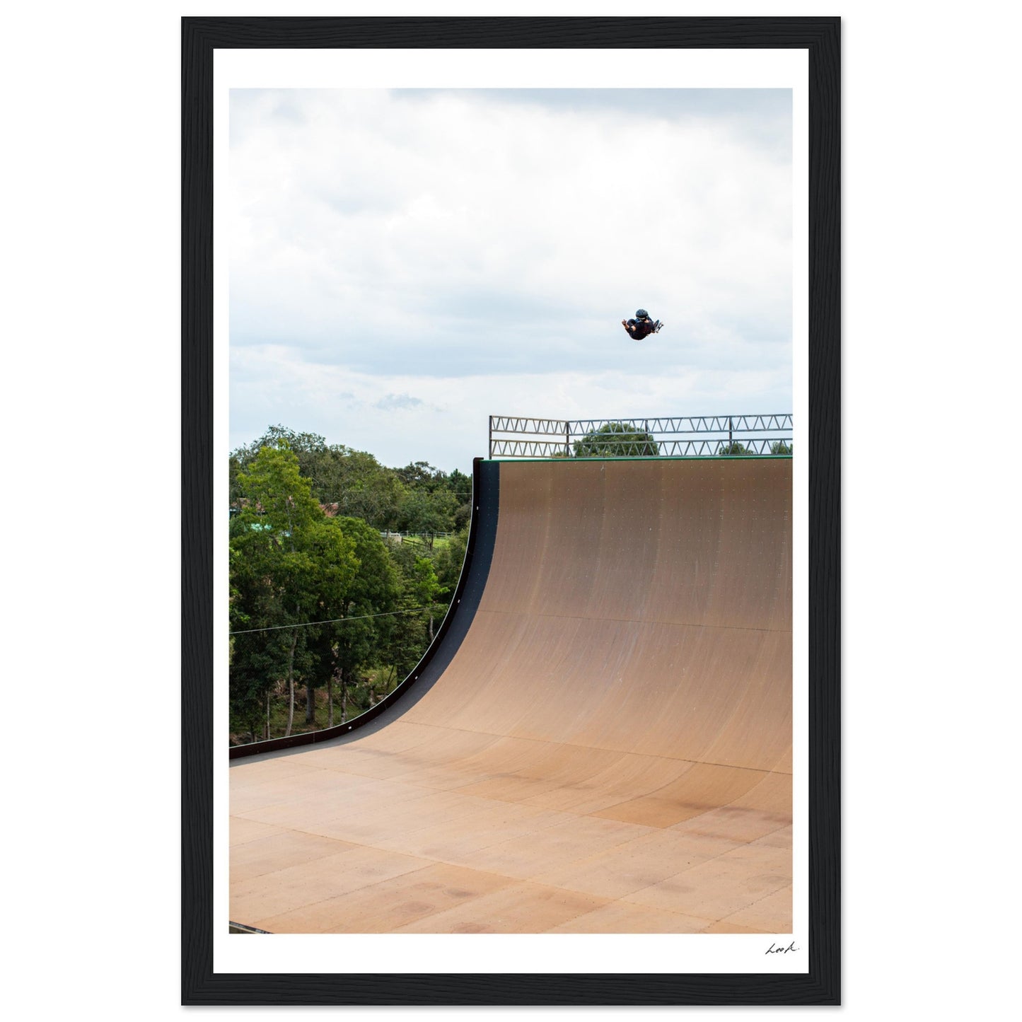 540 Mega - Premium Matte Paper Wooden Framed Poster