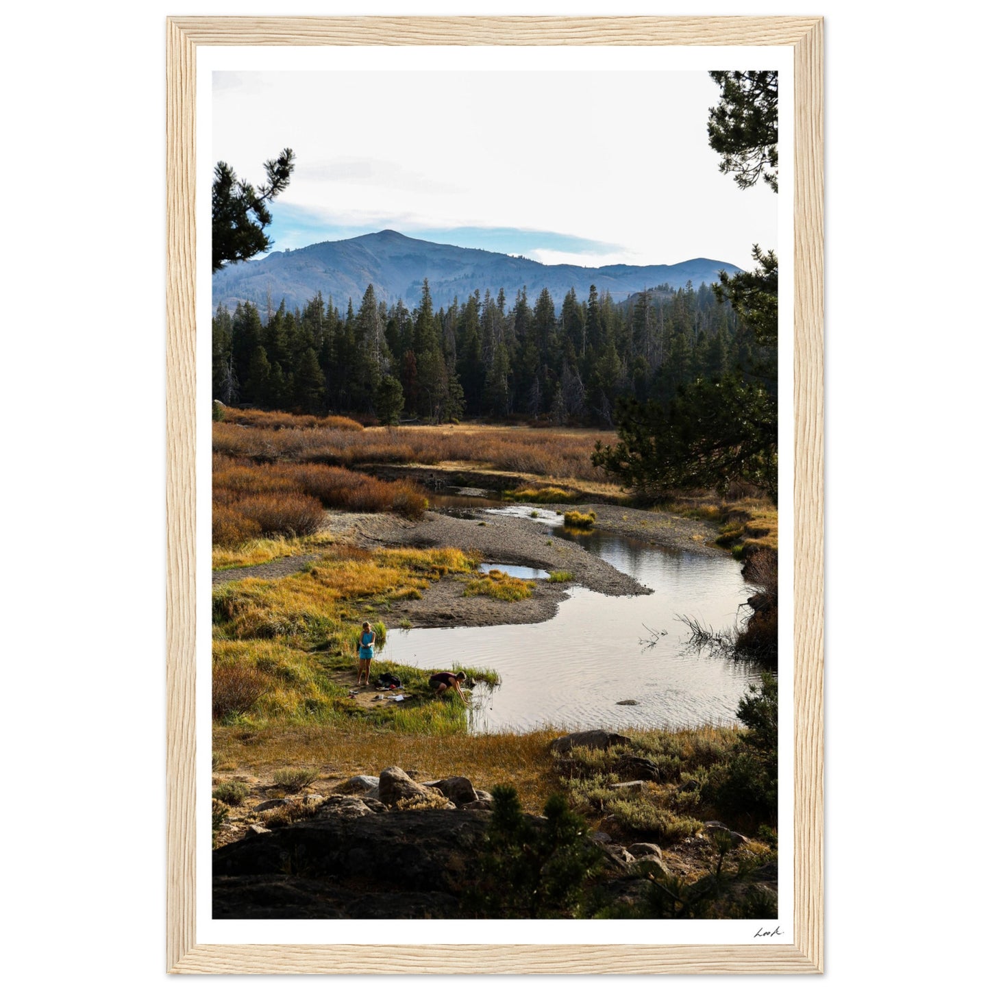 Toiyabe National Forest 3 - Premium Matte Paper Wooden Framed Poster