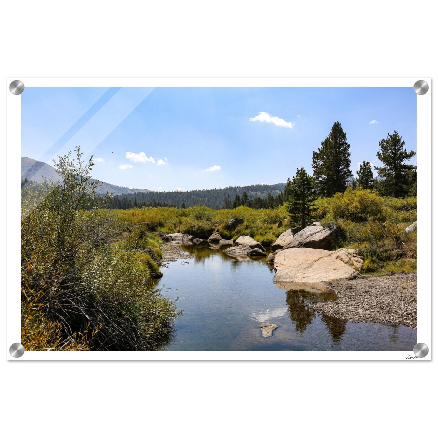 Toiyabe National Forest - Acrylic Print