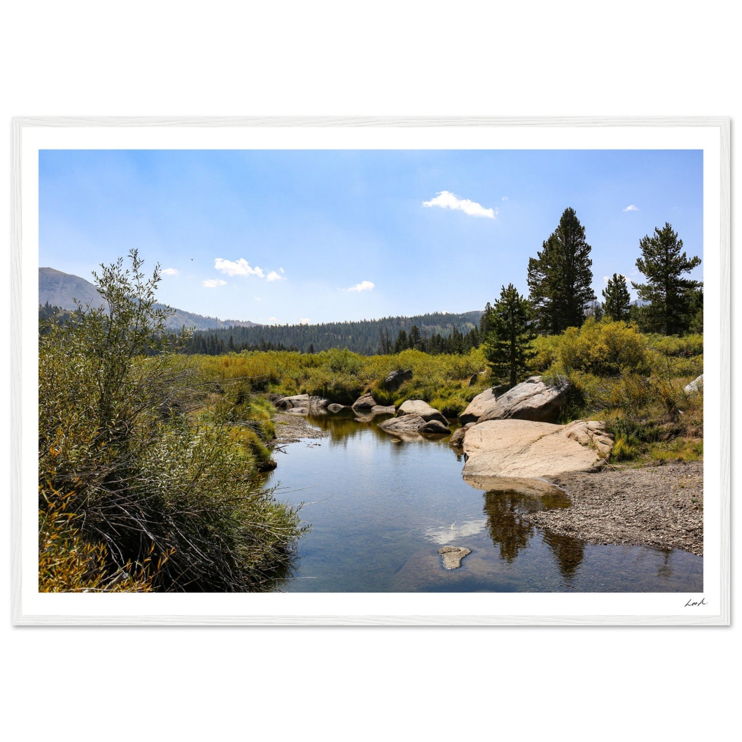Toiyabe National Forest - Premium Matte Paper Wooden Framed Poster