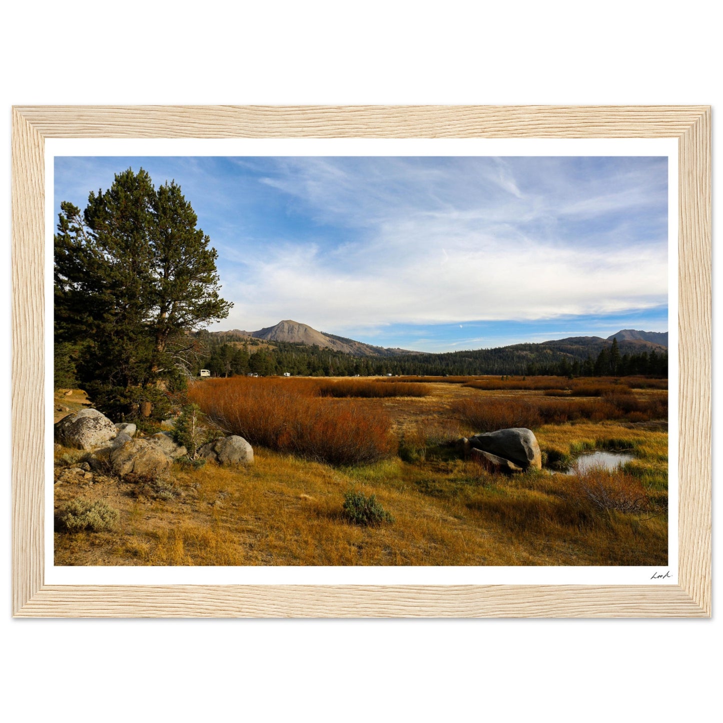 Toiyabe National Forest 2 - Premium Matte Paper Wooden Framed Poster