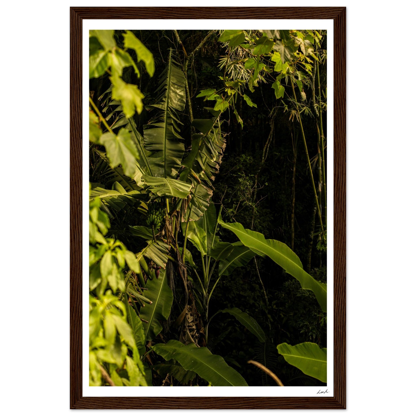 Rosa Norte Forest - Premium Matte Paper Wooden Framed Poster