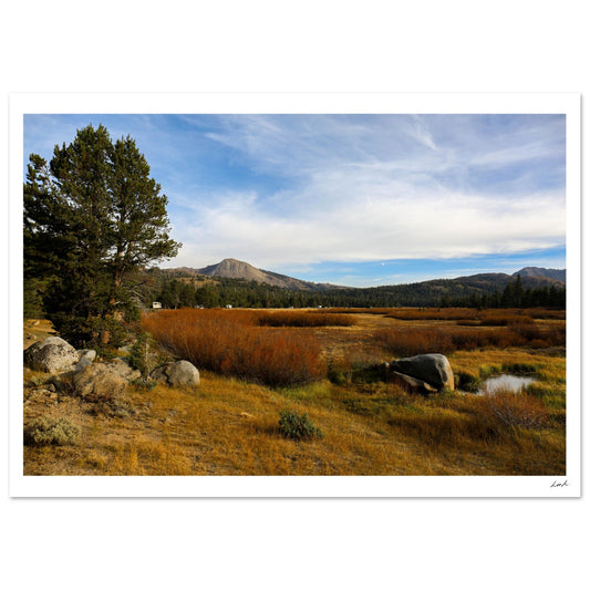 Toiyabe National Forest 2 - Classic Matte Paper Poster