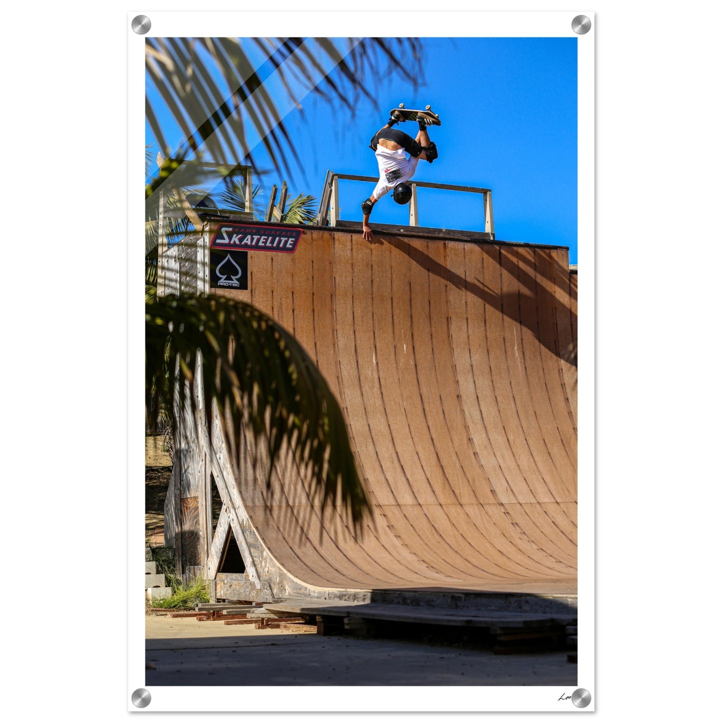 Eggplatnt - Acrylic Print