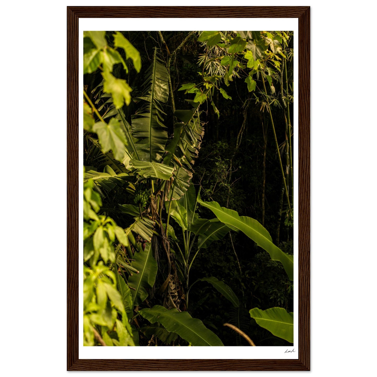 Rosa Norte Forest - Premium Matte Paper Wooden Framed Poster