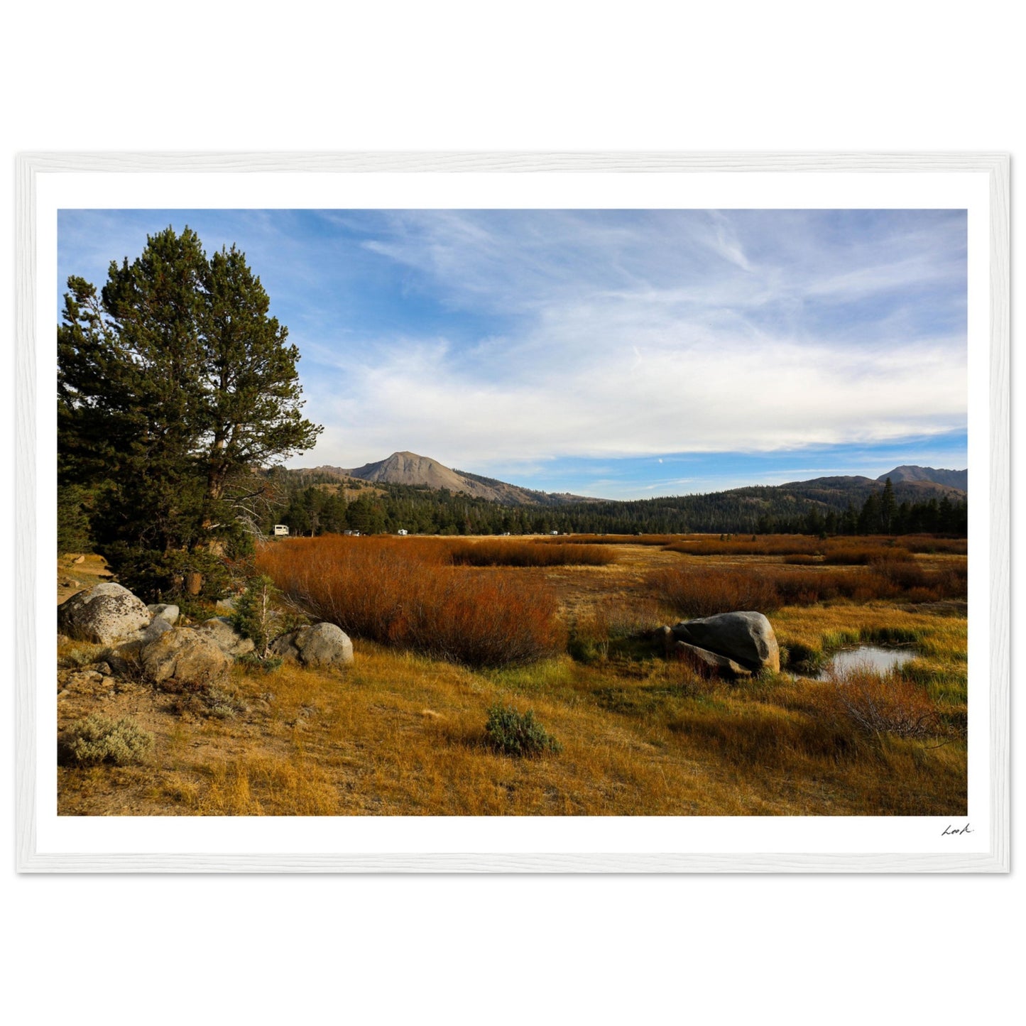 Toiyabe National Forest 2 - Premium Matte Paper Wooden Framed Poster