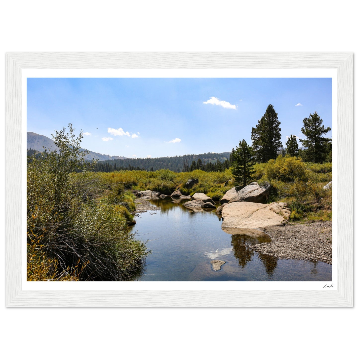 Toiyabe National Forest - Premium Matte Paper Wooden Framed Poster
