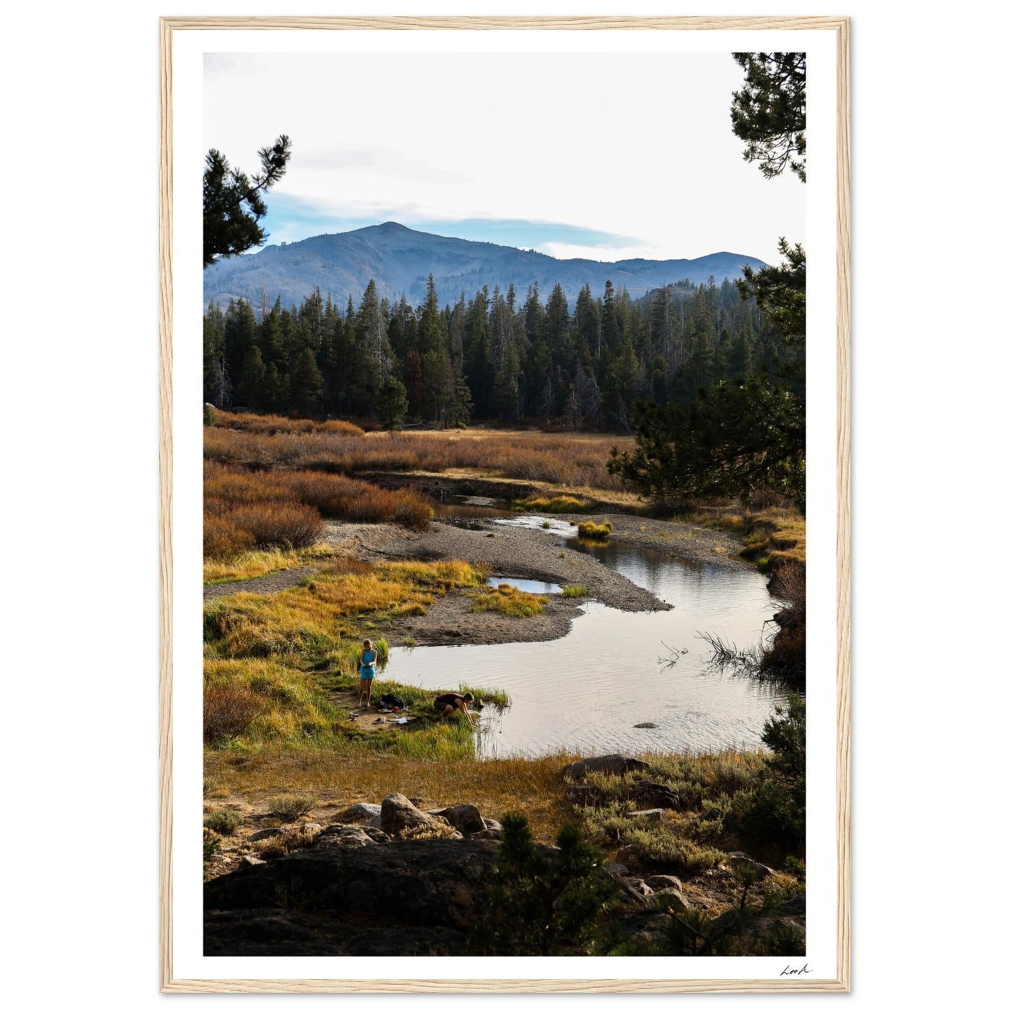Toiyabe National Forest 3 - Premium Matte Paper Wooden Framed Poster