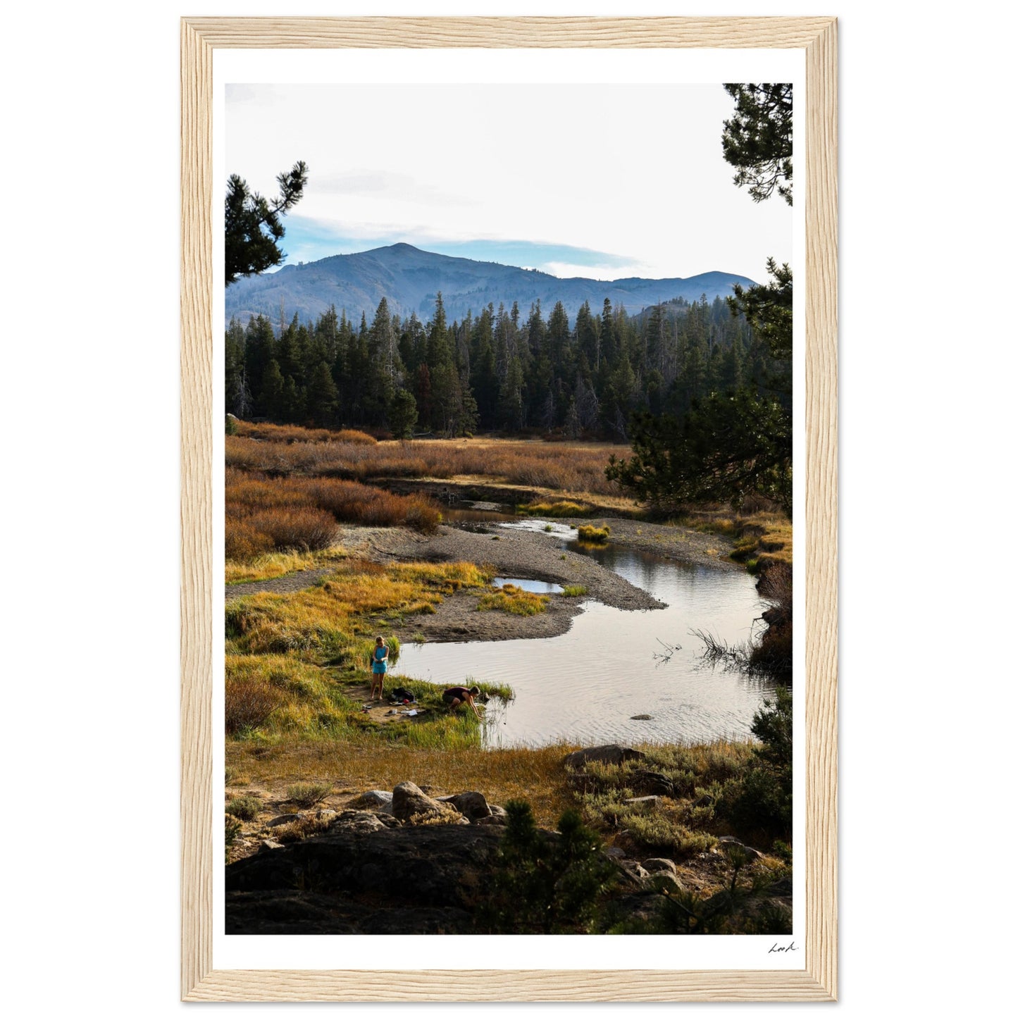 Toiyabe National Forest 3 - Premium Matte Paper Wooden Framed Poster